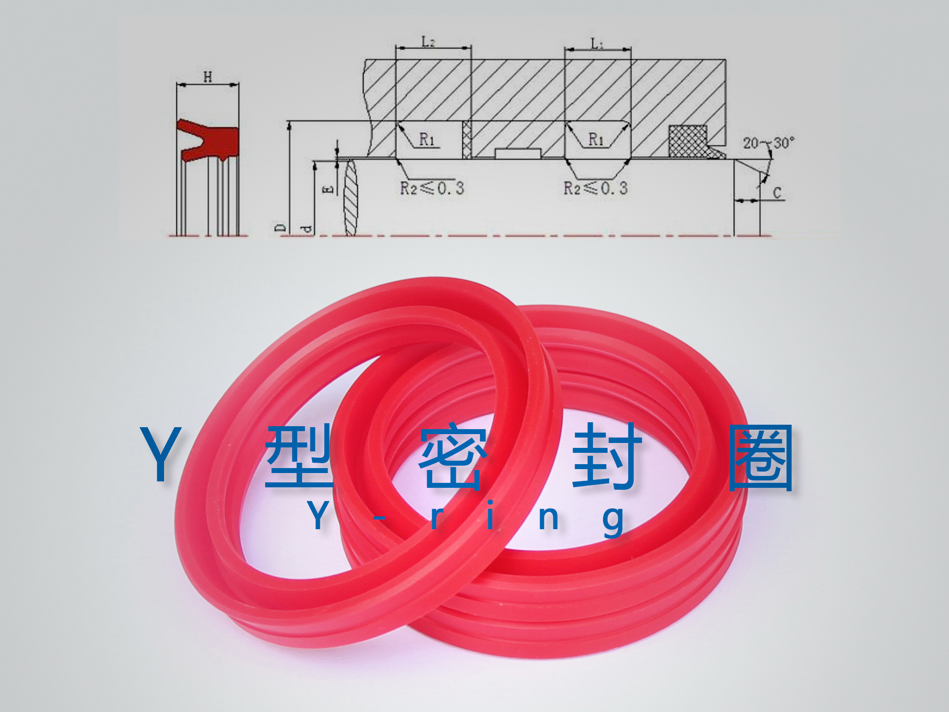 Y型密封圈（密封件、油封）與截面結(jié)構產(chǎn)品圖